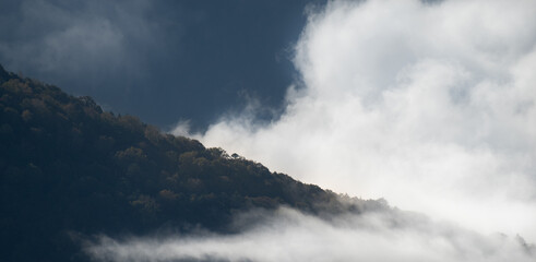 霧が湧く雨上がりの山