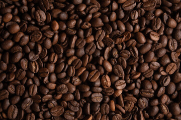 cofee arabica