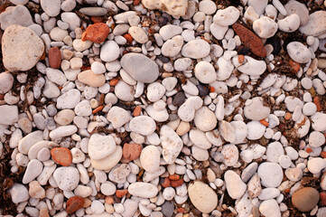 Different color beach stone pebbles at seashore outdoors top view. Nature background and textures. Summer vacation season.