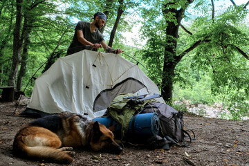 Caucasian male traveler with beard sets up tent for rest in clearing in forest. Put tourist tent in...
