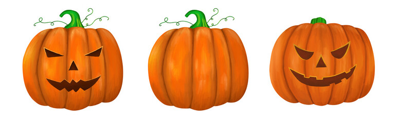 Set of orange pumpkins. Vegetables, harvest, Halloween holiday. Isolated on a white background.