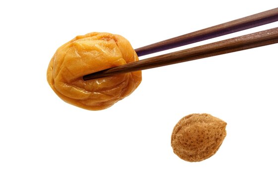 3 464 Best はちみつ Images Stock Photos Vectors Adobe Stock