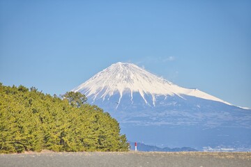 三保の松原からの富士山