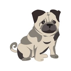 Pug dog Flat vector icon illustration on white background
