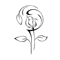 ornament 1832. decorative element with stylized flower bud on a stem with leaves and curls in black lines on a white background