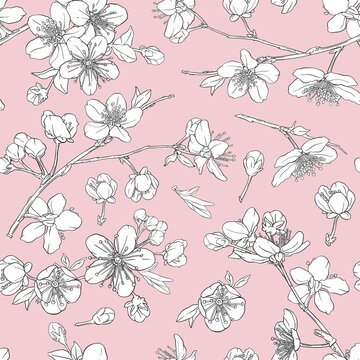 Seamless pattern with cherry blossoms. Sakura hand drawn line flowers, tree branches.