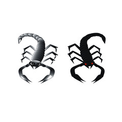 scorpion isolated on white background