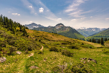 Fototapeta na wymiar Beautiful mountain hike near Damuels along the Hochblanken ridge in Austria