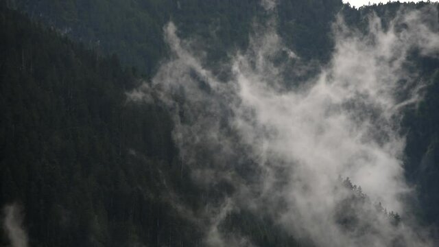 il movimento fluido delle nuvole durante un temporale che si spostano al di sopra di un bosco di montagna delle dolomiti