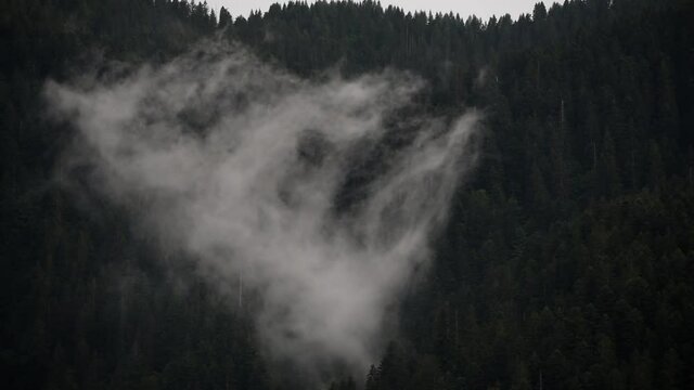 il movimento fluido delle nuvole durante un temporale che si spostano al di sopra di un bosco di montagna delle dolomiti