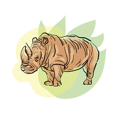 Rhino contour drawing. Wild African animal, color vector. Isolated on white.