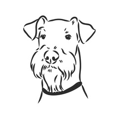 Airedale Terrier Dog. hand drawn. Vector illustration