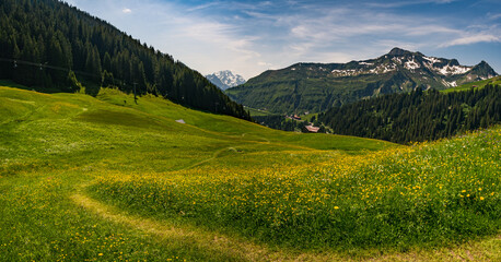 Obraz premium Beautiful mountain hike near Damuels along the Hochblanken ridge in Austria