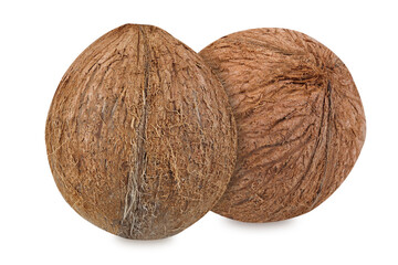 coconuts isolated on white background