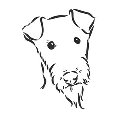 Airedale Terrier Dog. hand drawn. Vector illustration