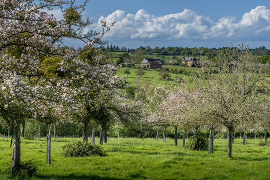 Paysage campagne 954