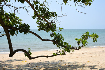 leerer Strand in Thailand während des Lockdown, Naklua Beach