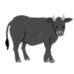 牛　黒毛和牛　イラスト 水彩　手書き　クレパス
