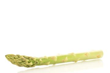 One stalk of green organic asparagus, close-up, isolated on white.