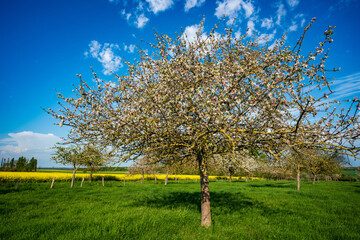 Paysage campagne 958