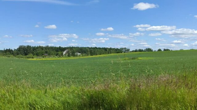 Summer landscape behind the window glass from the car in motion. Summer travel. 