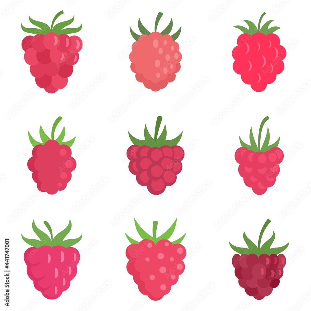 Poster raspberry icons set flat vector isolated