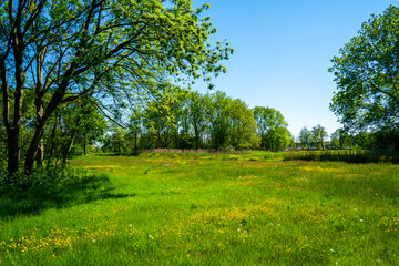 Landscape in het Twiske near Amsterdam, Netherlands
