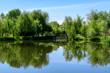 Landscape with old green trees near Mogosoaia lake and park, a weekend attraction close to  Bucharest, Romania, in a sunny spring day.