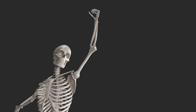 acquiring skeleton model 3d render