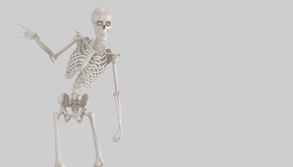 jocular skeleton 3d render