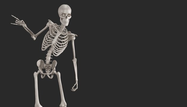 jocular skeleton 3d render