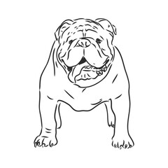 Line art of french bulldog with three difference of face