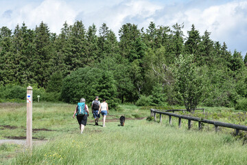 Belgique Wallonie Hautes Fagnes paysage tourisme balade nature promenade environnement