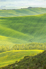 Rolling fields with hills and valleys