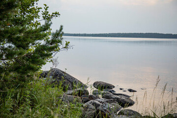 Quiet summer evening by the lake. Reflection of nature in water. 