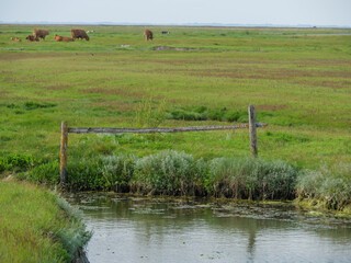 Hallig Hooge in der Nordsee