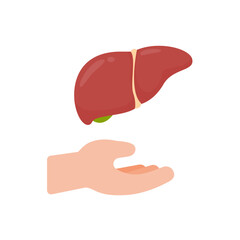 hand that supports internal organs The concept of organ donation for the treatment of patients