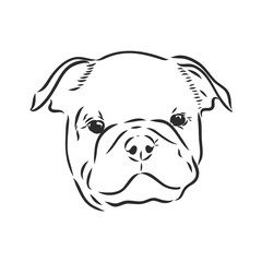 Line art of french bulldog with three difference of face