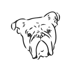 Line art of french bulldog with three difference of face