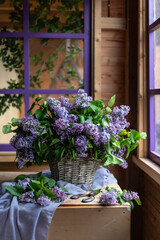Fototapeta na wymiar Bouquet of lilacs in a vintage basket. Beautiful violet Lilac flower still life Easter border design on wooden table.