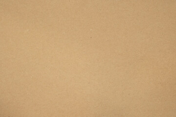 Fototapeta na wymiar Texture of brown craft or kraft paper background, cardboard sheet, recycle carton paper, copy space for text.