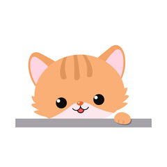 Cute ginger cat isolated on white background
