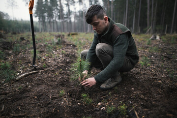 Close-up on a young man in a green clothes plants a young pine seedling in the forest. Work in...