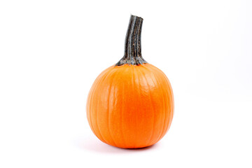 Close up shot of a single classic orange pumpkin isolated on bright background as a symbol of autumnal holidays with a lot of copy space for text.polished