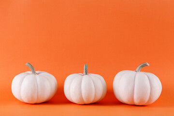 Close up shot of three baby boo pumpkins isolated on bright background as a symbol of autumnal holidays with a lot of copy space for text.