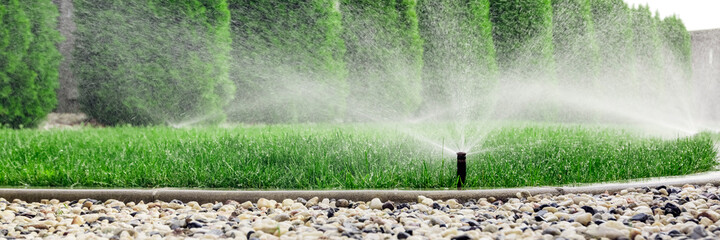 Sprinklers watering grass, green lawn in garden