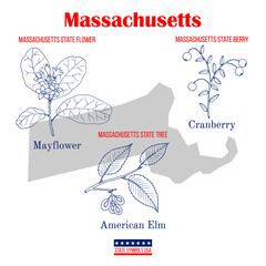 Massachusetts. Set of USA official state symbols - obrazy, fototapety, plakaty