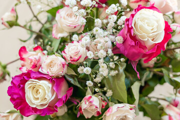 Bicolor variety of roses in a bouquet. White petals in the heart of the inflorescence are surrounded by red petals at the edges. View from above