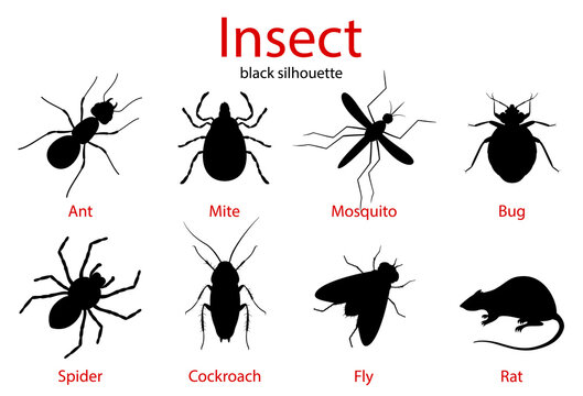 Pest Control Insect Black Silhouette Set, Insect Icons Isolated On White, Flat Style