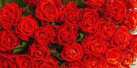 A lush bouquet of fresh red roses